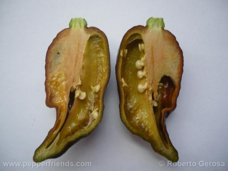 bhut-chocolate_002_frutto_08.jpg