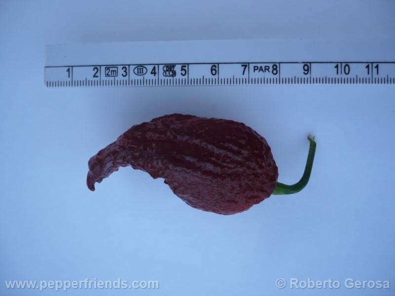 bhutlah-chocolate_001_frutto_02.jpg