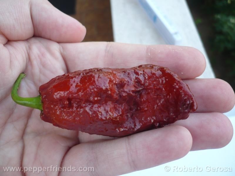 bhutlah-chocolate_001_frutto_03.jpg