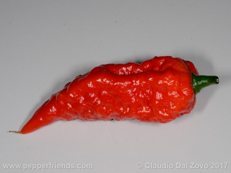 fatalii-gourmet_001_frutto_10.jpg