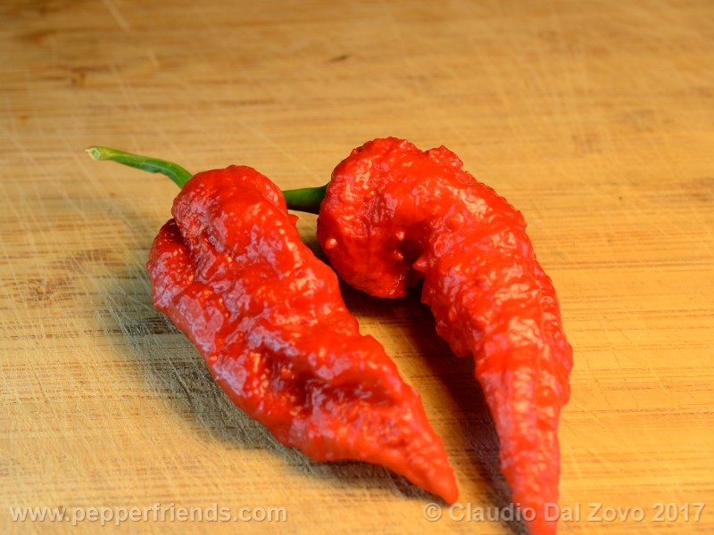 fatalii-gourmet_001_frutto_14.jpg