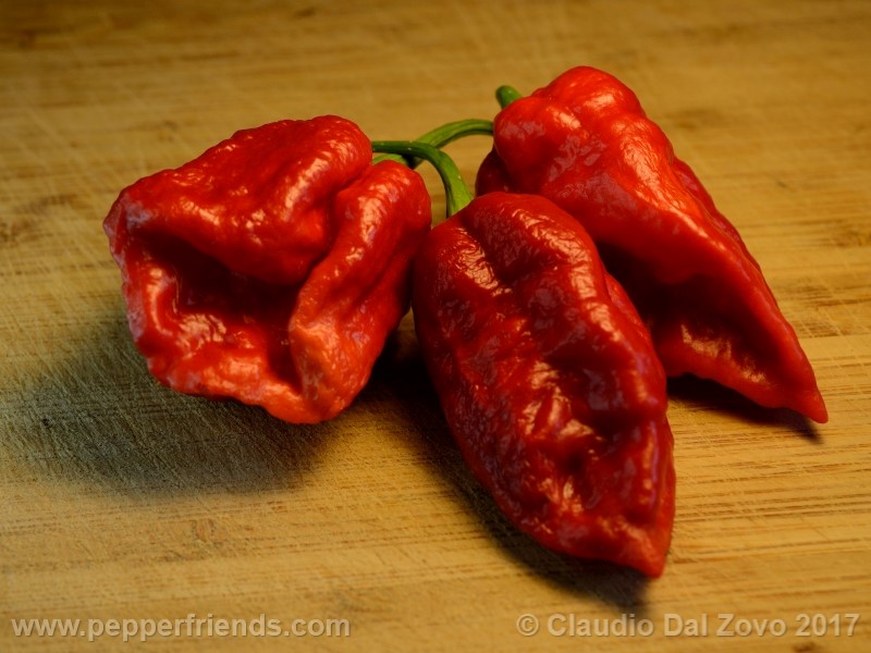 fatalii-gourmet_001_frutto_19.jpg