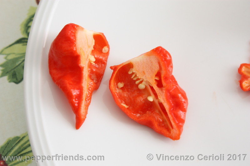 fatalii-gourmet-jigsaw_002_frutto_02.jpg