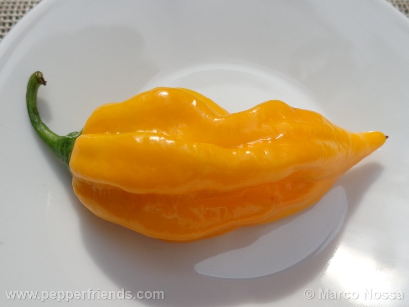 fatalii_003_frutto_01.jpg