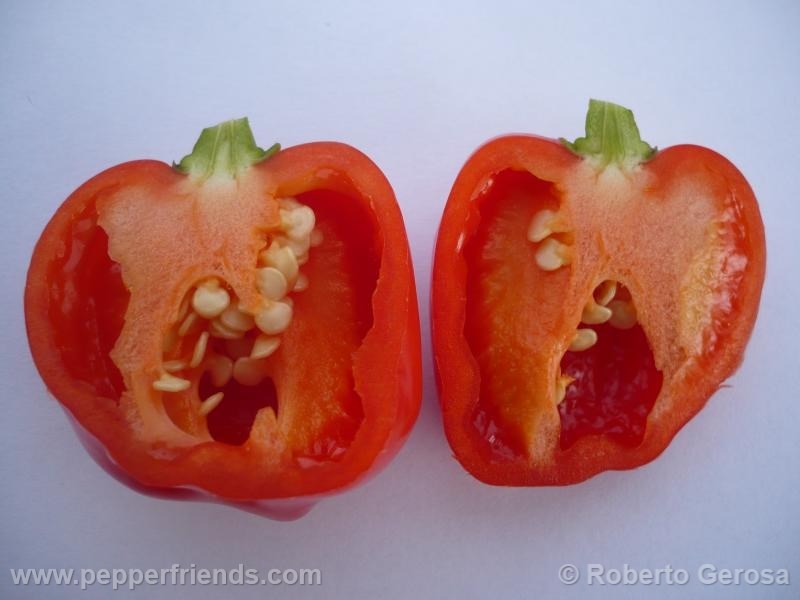 habanero-gambia_001_frutto_07.jpg