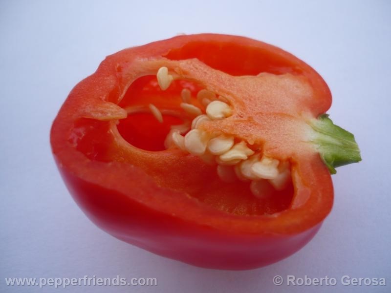 habanero-gambia_001_frutto_08.jpg