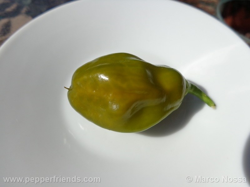 Habanero Green