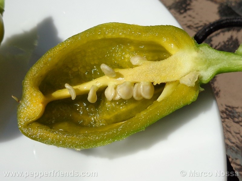 habanero-green_001_frutto_07.jpg