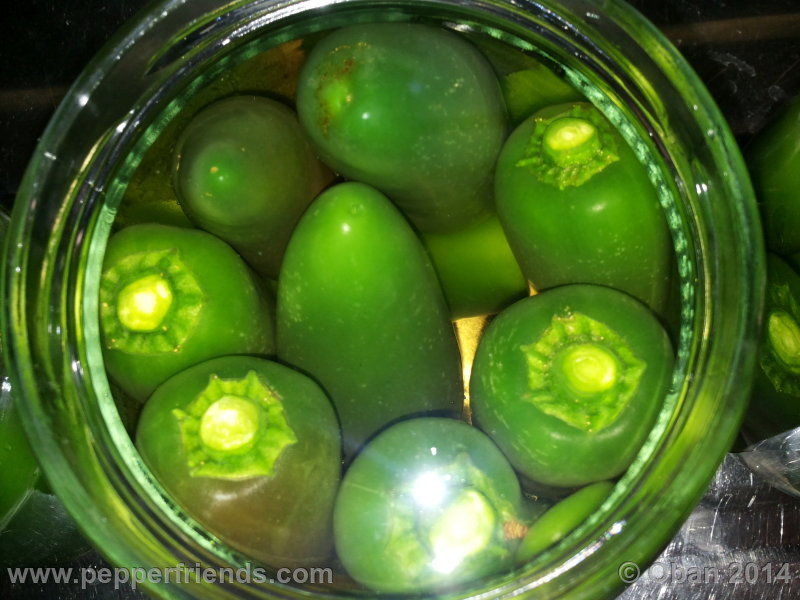 jalapeno_002_frutto_09.jpg