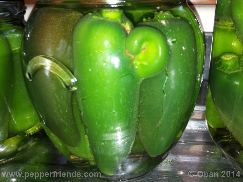 jalapeno_002_frutto_10.jpg