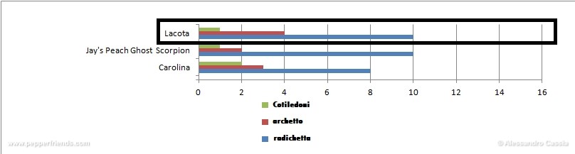 grafico.jpg