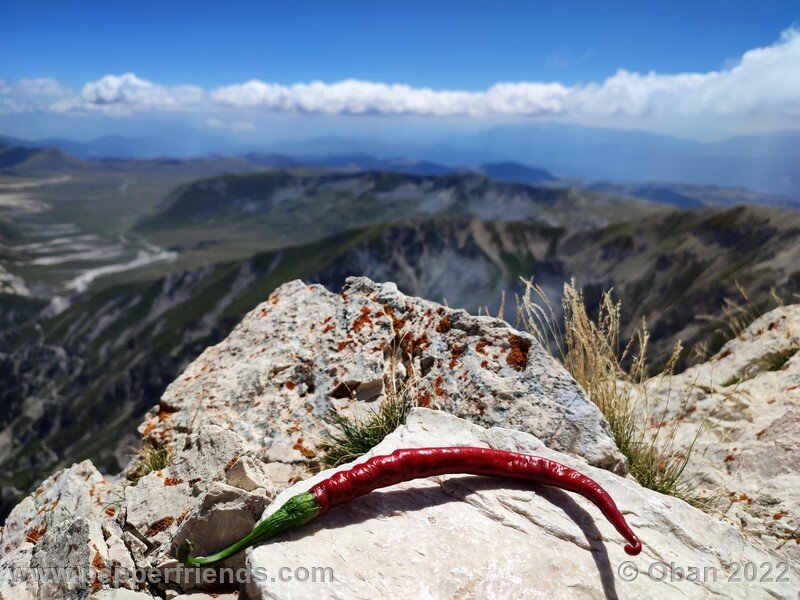 lazzaretto-abruzzese_006_06.jpg