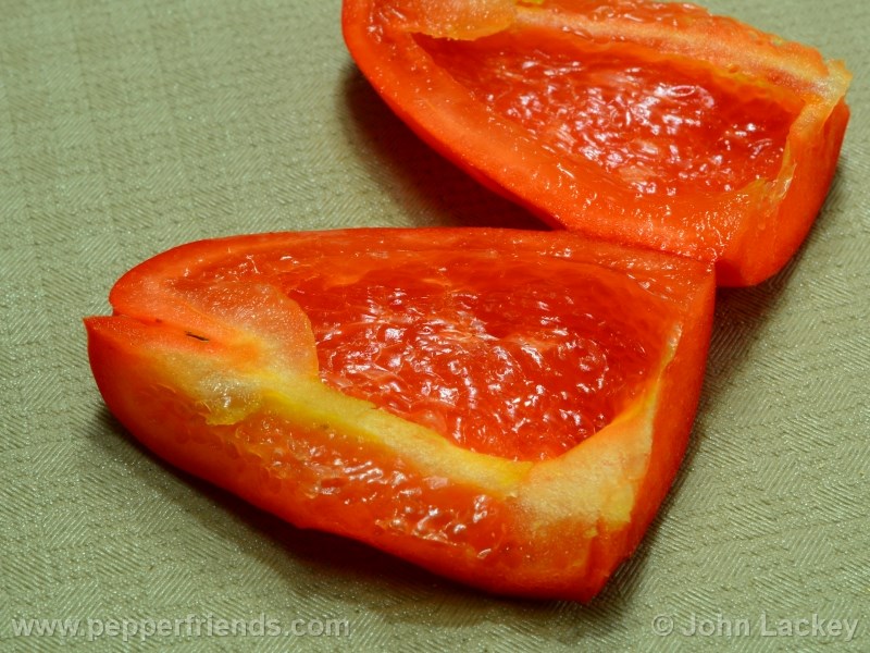 rocoto-sisidro_001_frutto_05.jpg